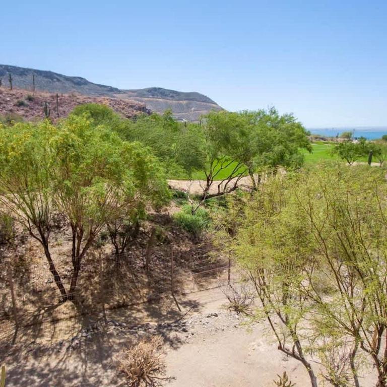 Oceanview Home in Puerta Cortes Golf Cart - Apartment - 51