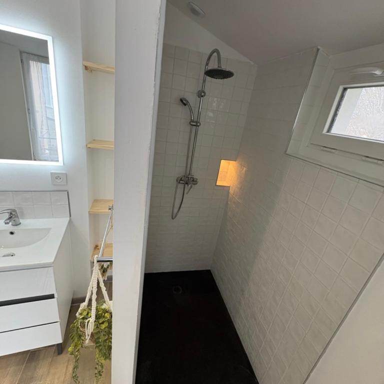 Petite rivière - Appartement 1 Chambre - 4
