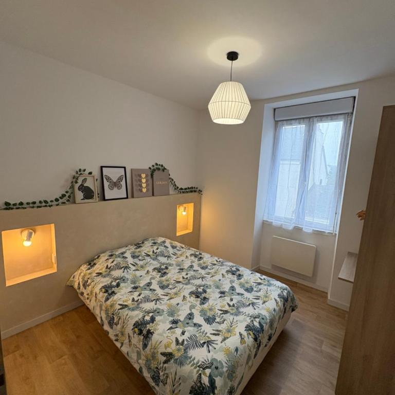 Petite rivière - Appartement 1 Chambre - 1