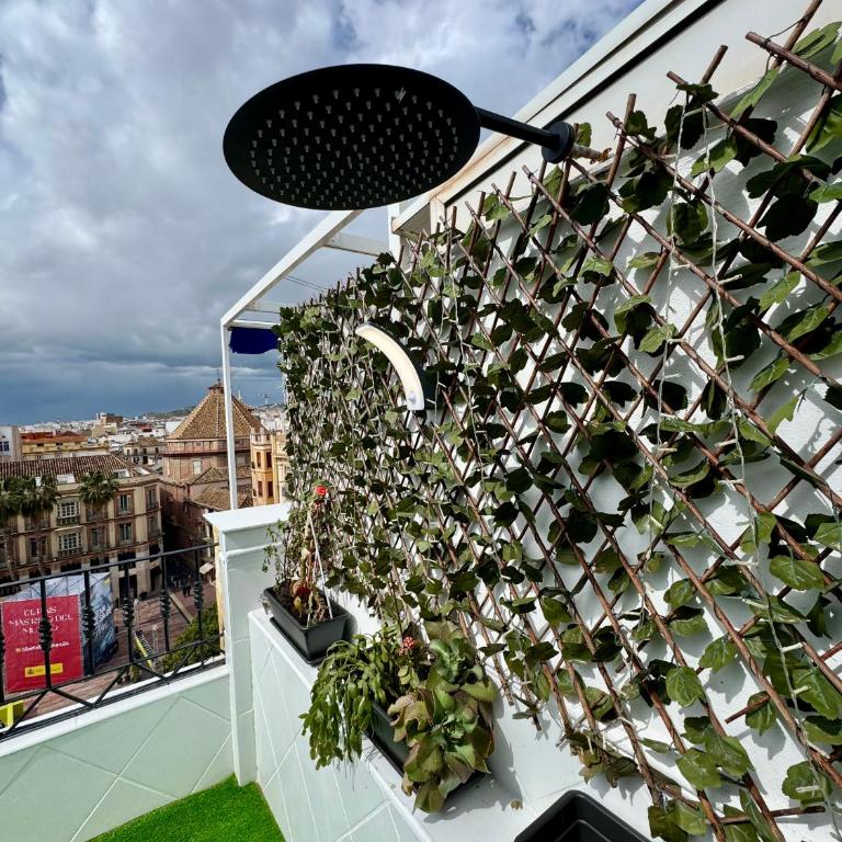 Mini Estudio Málaga - Apartamento de 2 dormitorios - 4