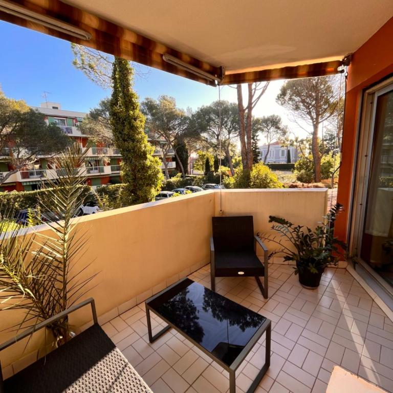 Studio bord de mer - One-Bedroom Apartment - 4