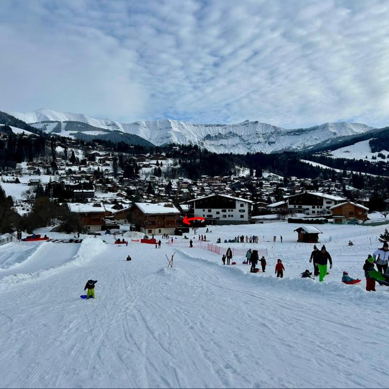 Sunny 2 Bedrooms Apartment for 4 in Megève Jaillet, right on the Ski Slopes - Apartamento de 2 dormitorios - 13