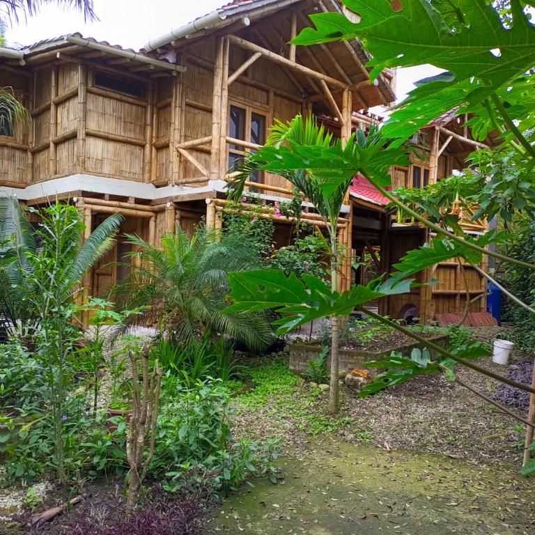 Casa Fenix - One-Bedroom Apartment - 1