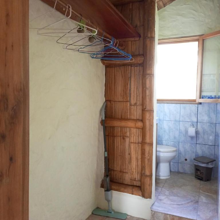 Casa Fenix - One-Bedroom Apartment - 11