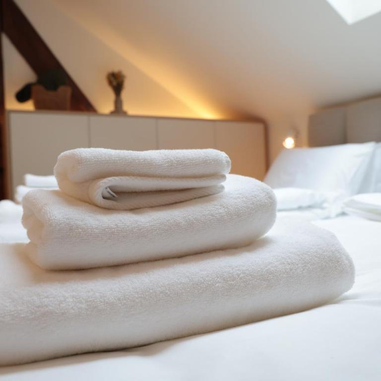 Gastro&Stay B&B - Belgrade CityCentre - Superior Studio - 10