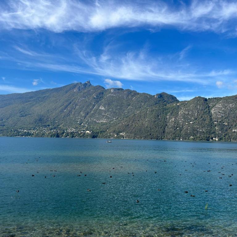 Nid du Lac - Studio cosy & moderne au bord du lac avec terrasse - One-Bedroom Apartment with Balcony and Mountain View - 22