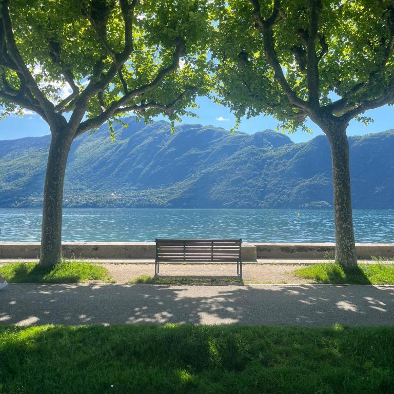 Nid du Lac - Studio cosy & moderne au bord du lac avec terrasse - One-Bedroom Apartment with Balcony and Mountain View - 5