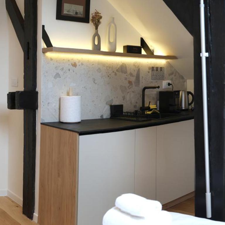 Gastro&Stay B&B - Belgrade CityCentre - Deluks Studio sa Bračnim Krevetom (King-size) - 11