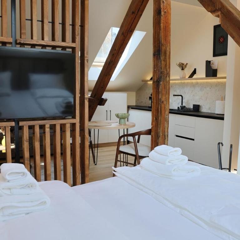 Gastro&Stay B&B - Belgrade CityCentre - Studio s King-sajz Krevetom i Sofom na Izvlačenje - 17