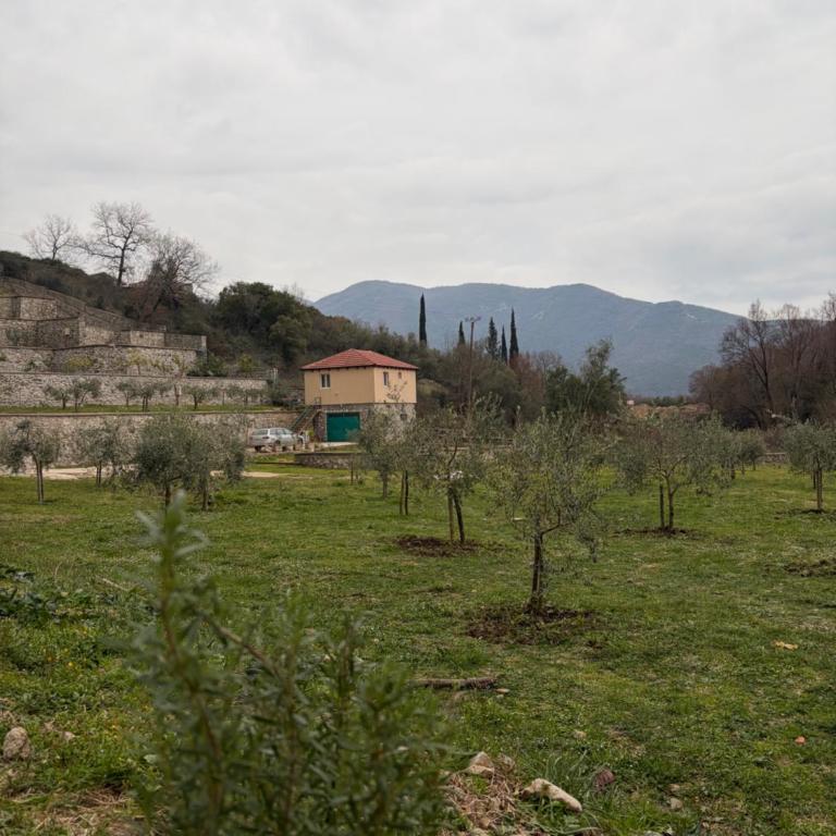 Sasovici farmstay - Kuća sa 1 Spavaćom Sobom - 9