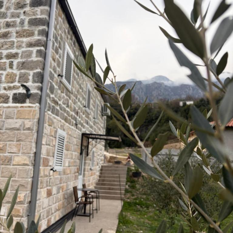 Sasovici farmstay - One-Bedroom House - 12