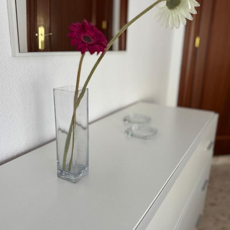 Parking free Confort flat in Malaga - Apartamento de 1 dormitorio - 17