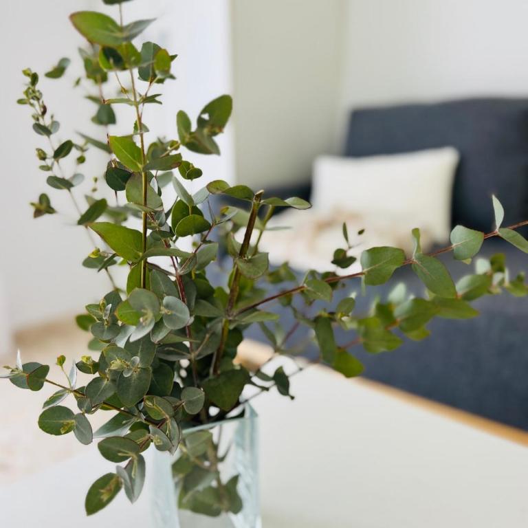 Parking free Confort flat in Malaga - Apartamento de 1 dormitorio - 7