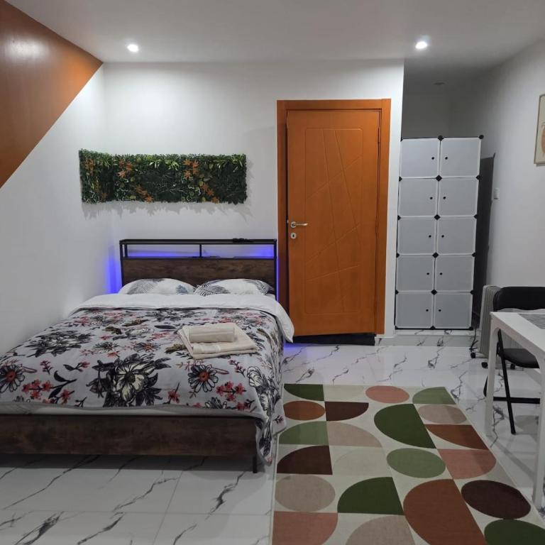 Cozy renovated studio Comfort practicality - One-Bedroom Apartment - 3