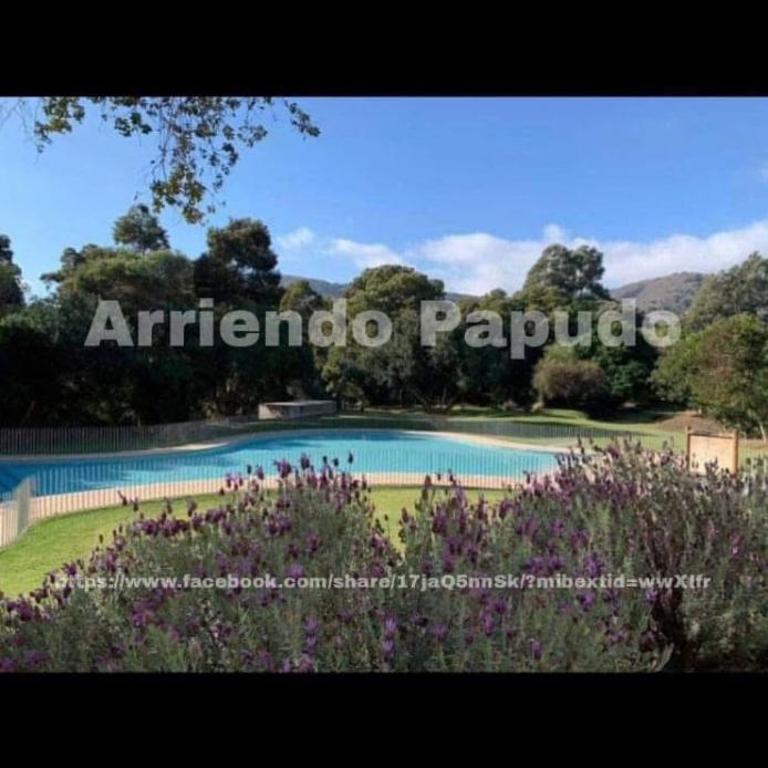 Departameto en papudo - Two-Bedroom Apartment - 1