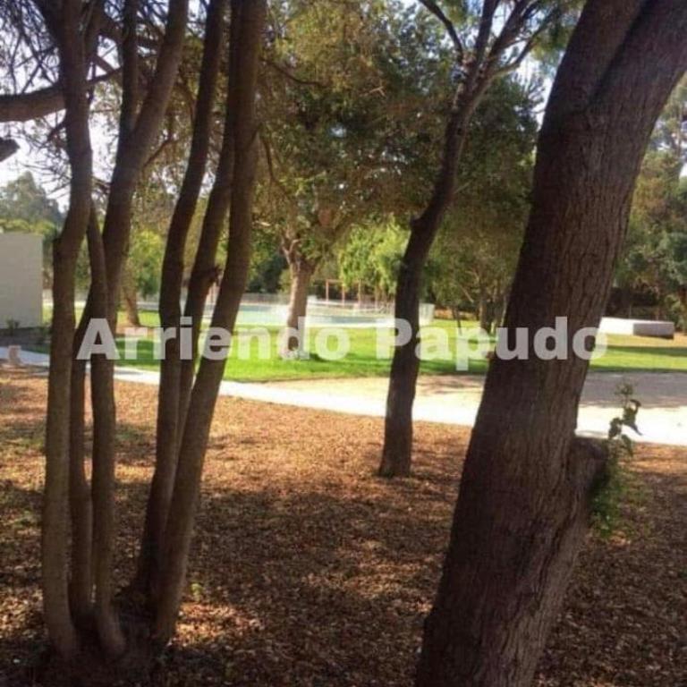 Departameto en papudo - Two-Bedroom Apartment - 6