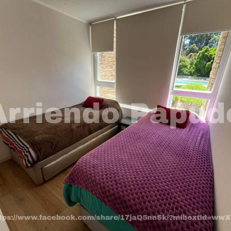 Departameto en papudo - Two-Bedroom Apartment - 16