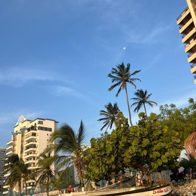 Hermoso apartaestudio de lujo, cerca a la playa - Apartamento de 1 dormitorio - 32