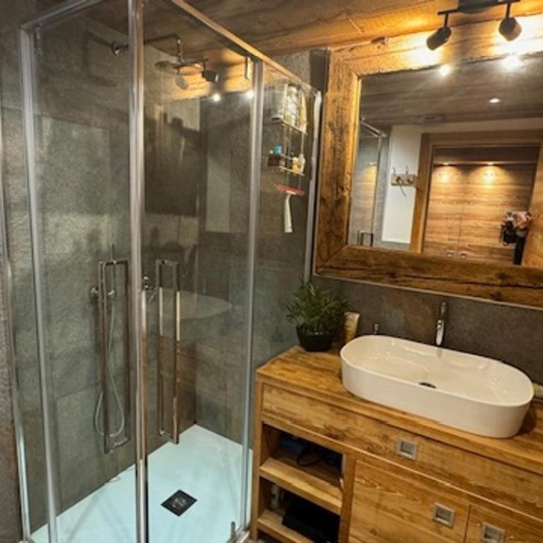 Duplex prestige avec animaux - Vue sur pistes - 9 pers. - FR-1-445-237 - Apartamento - 10