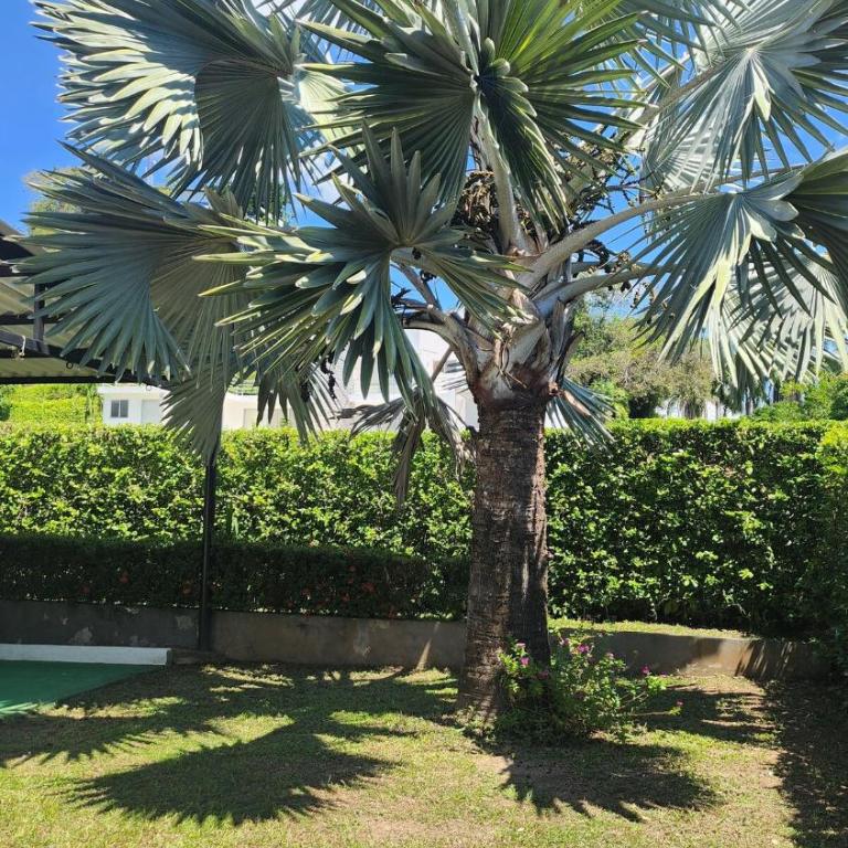 Casa Bella piscina privada en Carmen de Apicalá - Villa de 3 dormitorios - 43
