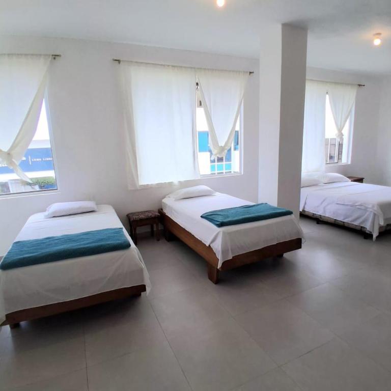Barrio Central - One-Bedroom Apartment - 6