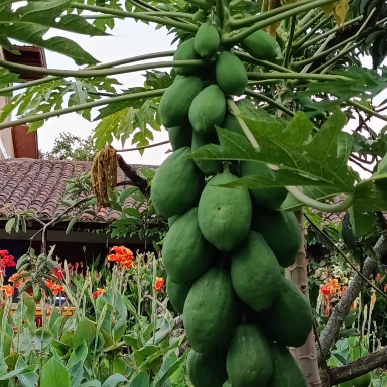 CABAÑA LA BENDICION, Refugio Natural - Apartamento de 2 dormitorios - 21