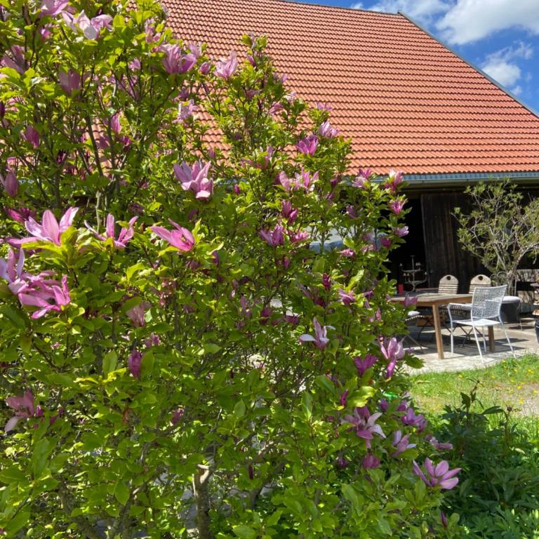 Allgäu Cottage - traumhafter Blick in die Schweizer Berge - Maisonette-Apartment - 48
