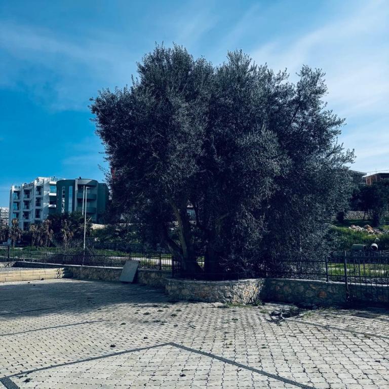 K-Club Apartments - One-Bedroom Apartment with Balcony and City View - 31