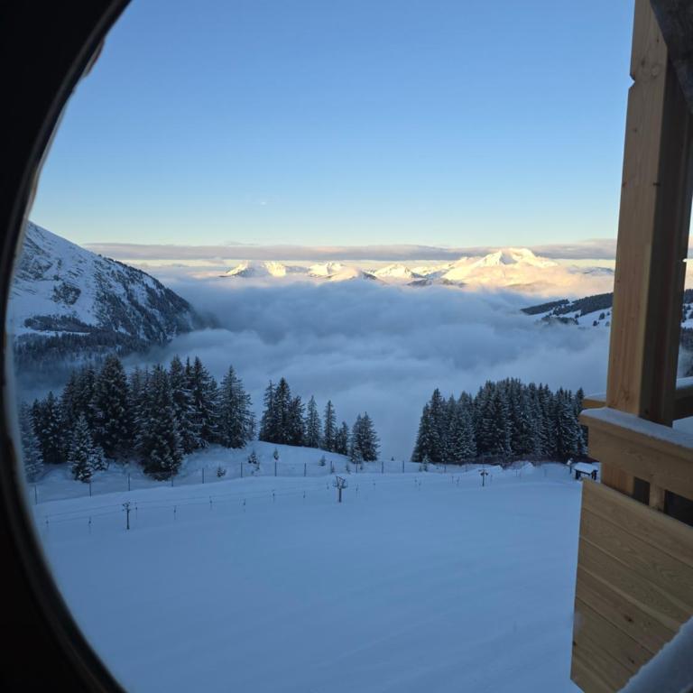 Douchka1800 Avoriaz - Apartamento de 1 dormitorio - 1
