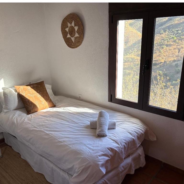 Luxury Wellness Villa with Pool Yoga Studio & Hammam for 14p & 40 min to Malaga city - Villa - 25