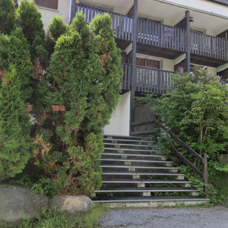 Charmant studio en Ubaye, randonnées et nature - Apartamento de 1 dormitorio - 10