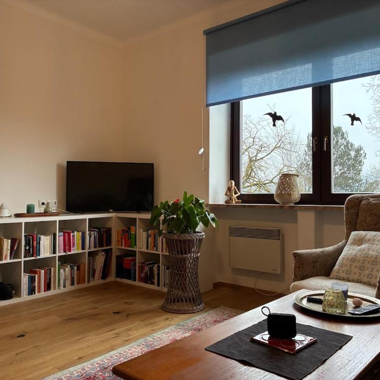Apartment Rosi mit Balkon in Seenähe - Apartment mit 1 Schlafzimmer - 16