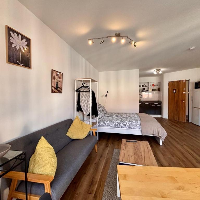 Cobblestone Studios Altstadt Nürnberg - Studio Supérieur - 1