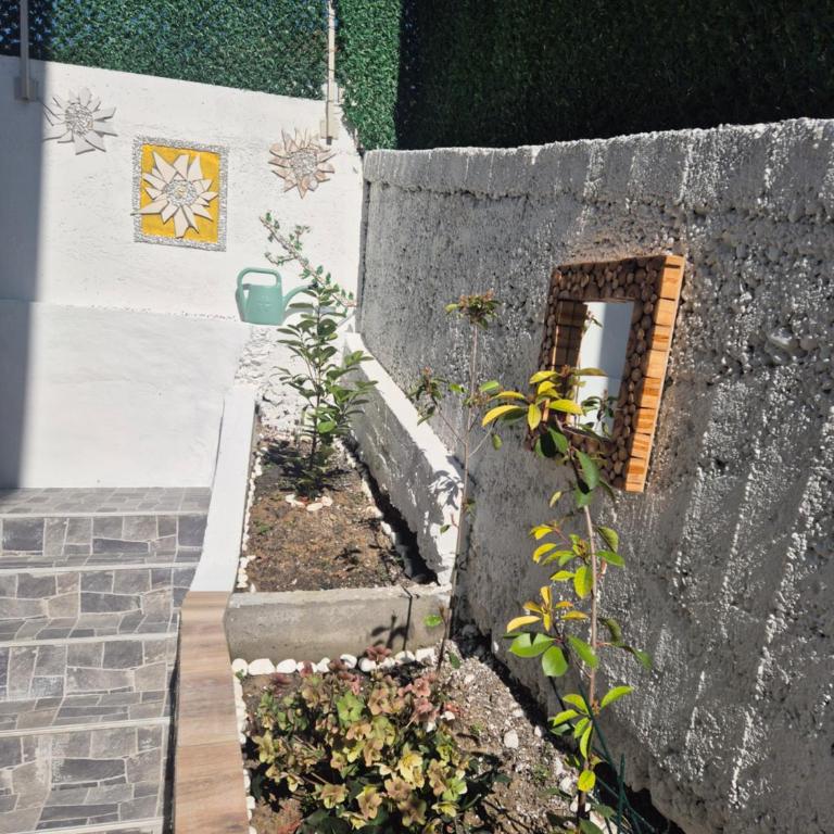 Apartman Kanarinac - Apartman sa 1 Spavaćom Sobom - 24