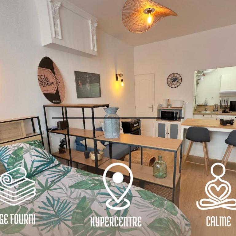 L’Albizia- Centre -TV WIFI-Cozy - Apartamento de 1 dormitorio - 1