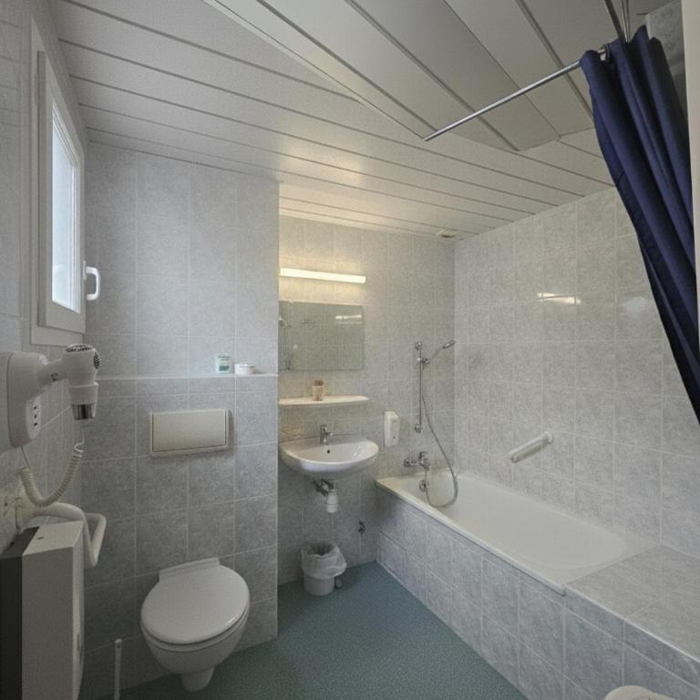 Hôtel Myosotis - Chambre Double Standard - 3
