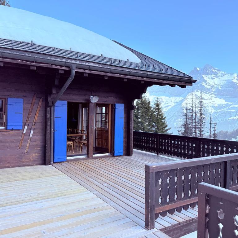 Tuschinski - Chalet - 51