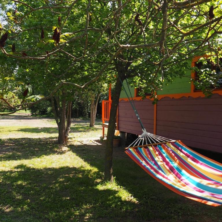 Domaine de Rhodes - 5 Chambres et 7 locations de vacances - Mobile Home - 2