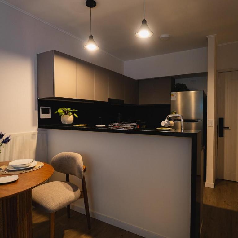 Apartment in San Isidro - Apartamento de 1 dormitorio - 9