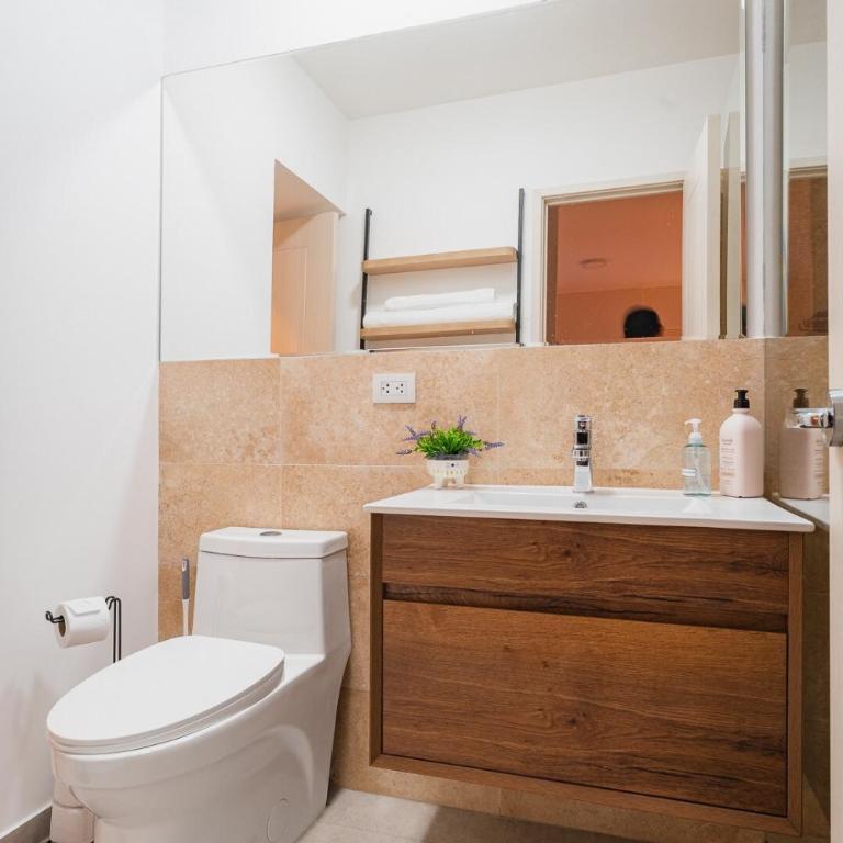 Apartment in San Isidro - Apartamento de 1 dormitorio - 35