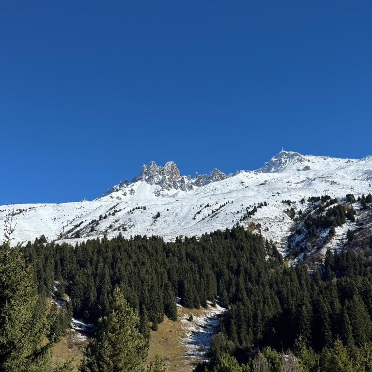 Séjour été - Appartement 4 pièces 6 personnes avec terrasse 50 m2 pour un séjour en famille avec vue exceptionnelle sur Meribel - Apartment mit 3 Schlafzimmern - 3