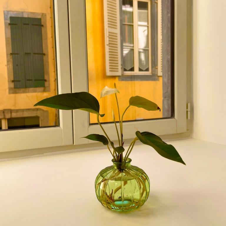 Appartement Le Montaigu Bagnères de bigorre Instant Pyrenees - Apartamento de 1 dormitorio - 11