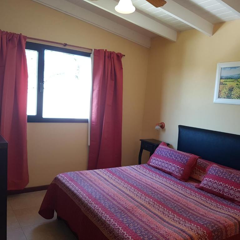 Complejo Ostra Negra - One-Bedroom Apartment - 4