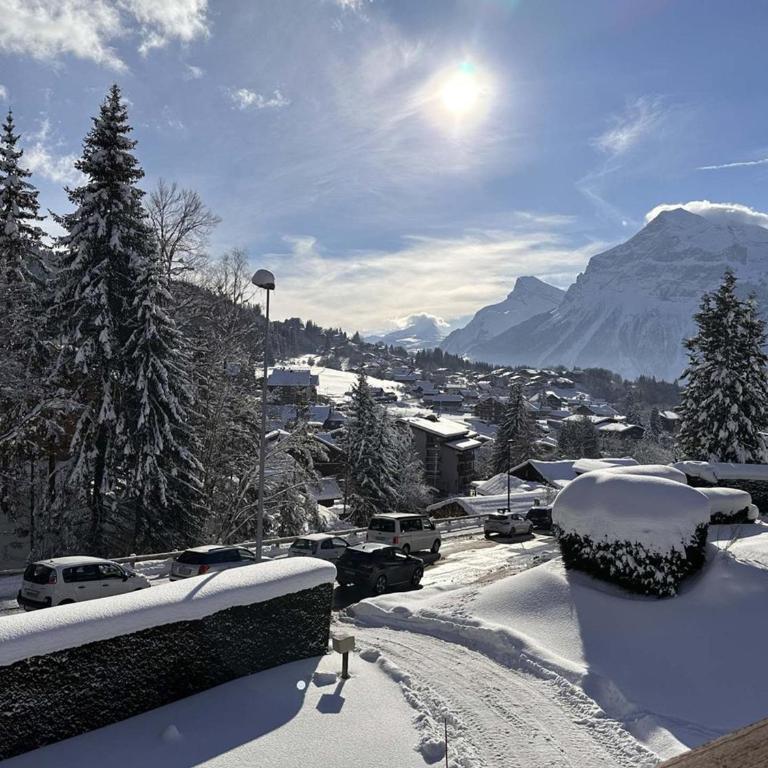 Chalet 4 chambres, 9 pers, pied des pistes, garage 2 voitures - FR-1-572-279 - Chalet - 11
