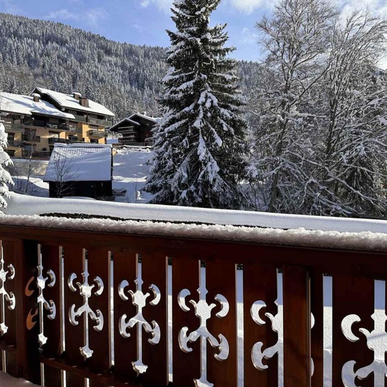 Chalet 4 chambres, 9 pers, pied des pistes, garage 2 voitures - FR-1-572-279 - Chalet - 12