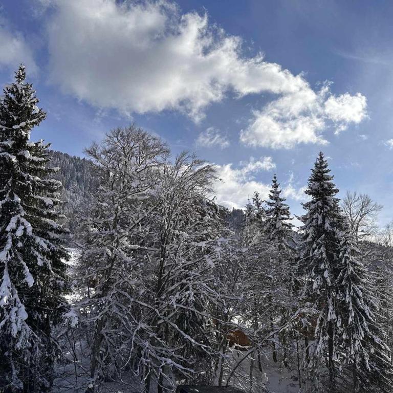Chalet 4 chambres, 9 pers, pied des pistes, garage 2 voitures - FR-1-572-279 - Chalet - 19