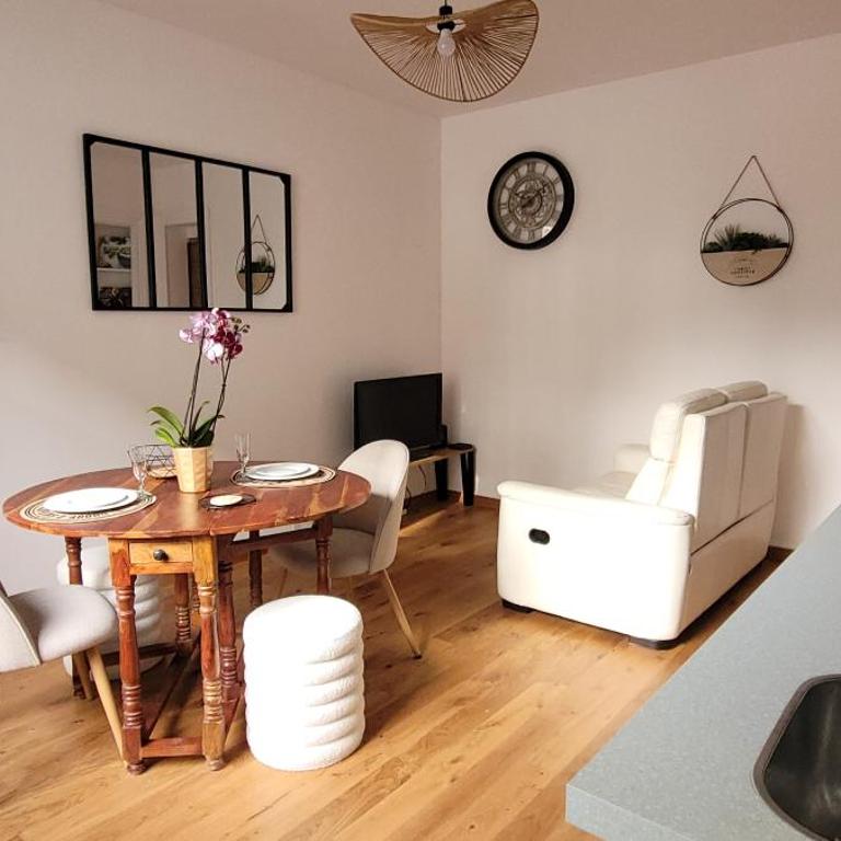 Appart' des Sacres Hyper Centre Boulingrin avec garage - Appartement 1 Chambre - 8