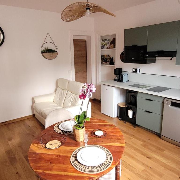 Appart' des Sacres Hyper Centre Boulingrin avec garage - Appartement 1 Chambre - 9