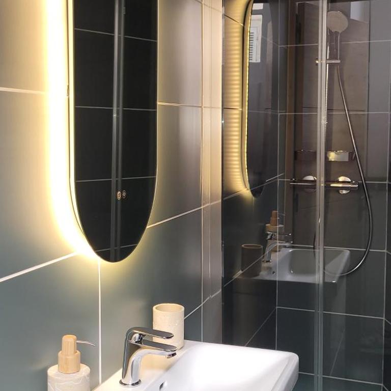 Appart' des Sacres Hyper Centre Boulingrin avec garage - Appartement 1 Chambre - 10