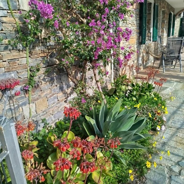 Casa Ninin - Two-Bedroom Apartment with Terrace, Garden and Sea View - 26